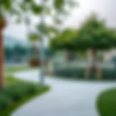 Recreational Spaces in Meadows Community amenities including parks and recreational spaces