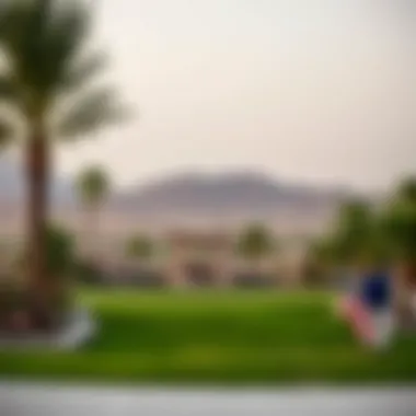 Stunning views of Arabian Ranches landscape