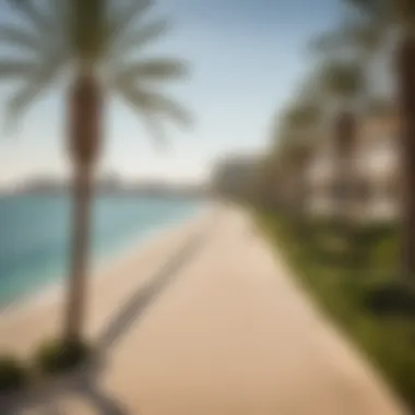 Exclusive Charm of Palm Jumeirah Panoramic view of Palm Jumeirah showcasing the exclusivity of the area
