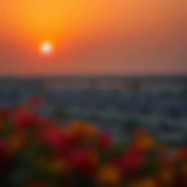 Beautiful sunset view over a villa neighborhood in Dubai