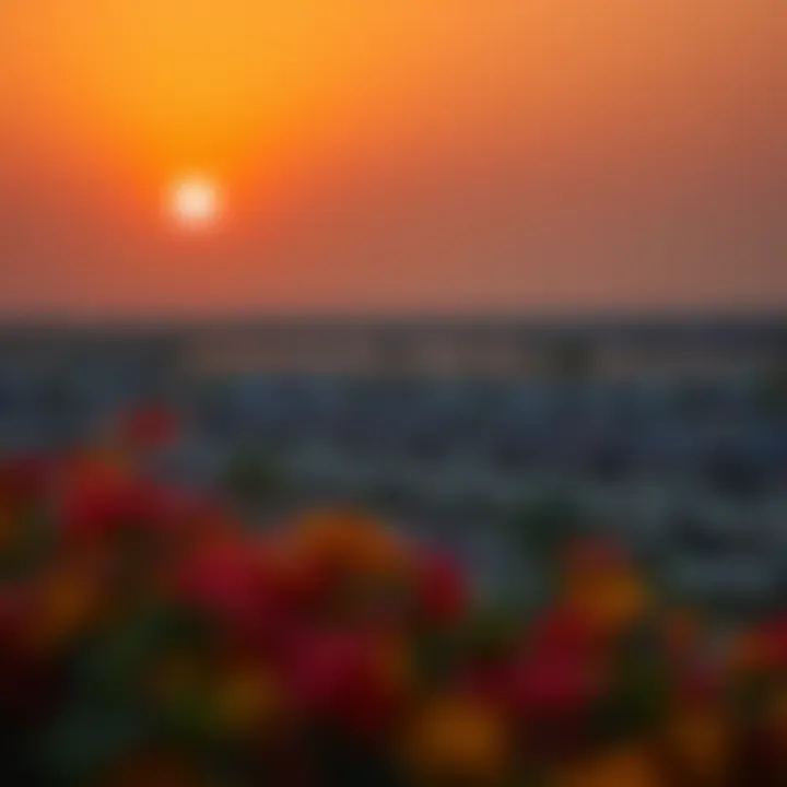 Beautiful sunset view over a villa neighborhood in Dubai