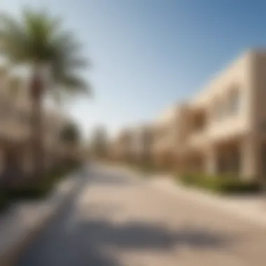Community Features and Lifestyle Community amenities on Jubail Island