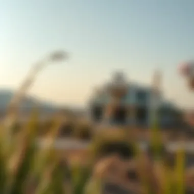 Surrounding Landscape of Tilal Al Ghaf Surrounding landscape emphasizing the tranquility of Tilal Al Ghaf community