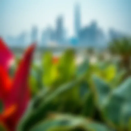 Vibrant tropical plants juxtaposed against Dubai's modern skyline