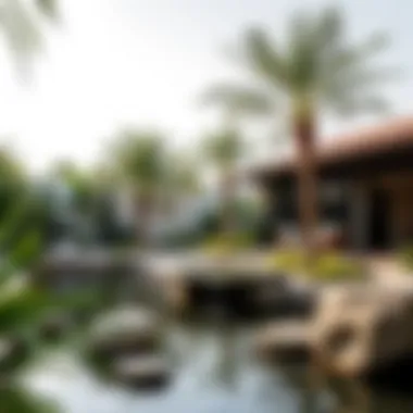 Zen-inspired tropical garden featuring water features and rocks