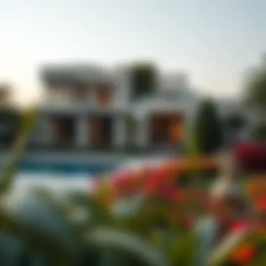Garden Landscape of a Villa in Umm Suqeim Beautiful garden landscape surrounding a villa