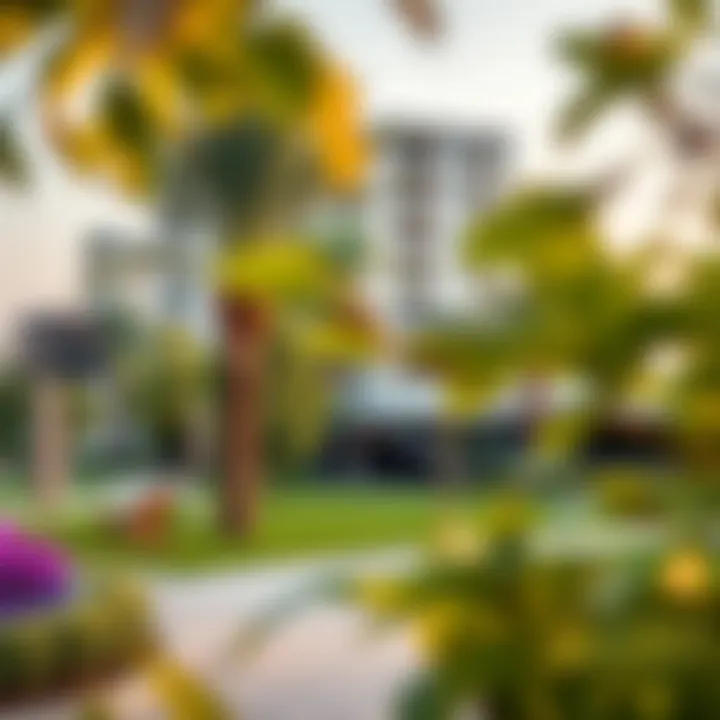 A serene park in Damac Hills 2 offering leisure and relaxation for residents