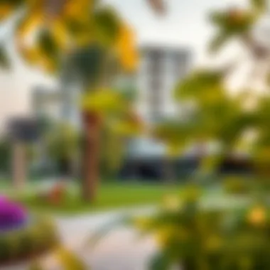 Leisure Spaces in Damac Hills 2 A serene park in Damac Hills 2 offering leisure and relaxation for residents