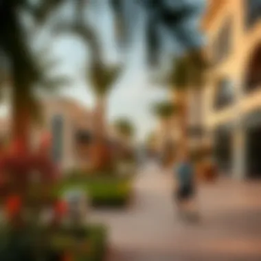 Amenities in Verona Community Amenities in Verona community