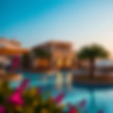 Amenities in Dubai Villa Communities Amenities available in a Dubai villa community including pools and parks