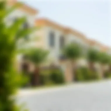 Luxurious Villa Community in Dubai Luxurious villa community in Dubai with lush greenery