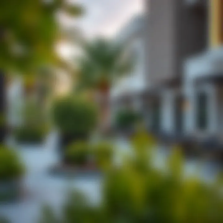 Vibrant Community Features in Jumeirah Village Triangle Community amenities in Jumeirah Village Triangle