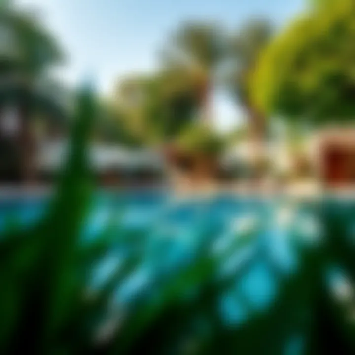 Beautiful Backyard Pool Area Beautiful backyard pool area surrounded by greenery