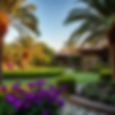 Lush landscaped garden surrounding a villa in Jumeirah Islands