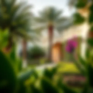 Beautifully landscaped garden of a villa in Jebel Ali