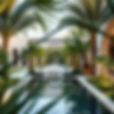 Lush Garden and Outdoor Space of Jebel Ali Villa Beautiful garden and outdoor area of Jebel Ali Villa