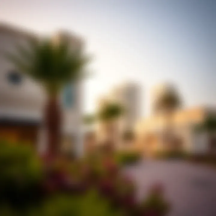 Surrounding neighborhoods of Jumeirah Family Beach, illustrating real estate opportunities.