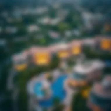 Aerial view of luxury residences in La Palmera, showcasing stunning architecture and lush greenery