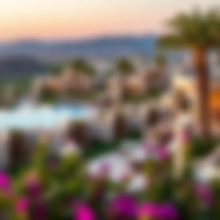 Panoramic view of the community landscape in Damac Hills