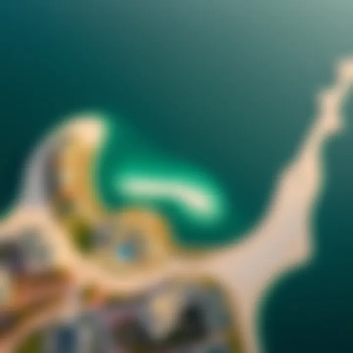 Aerial view showcasing the unique palm shape of Jebel Ali