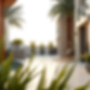 A serene outdoor space reflecting the tranquility of a new home environment.