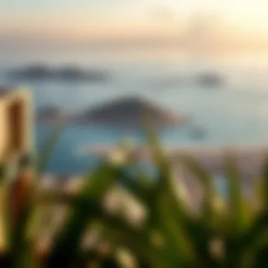 Breathtaking Views from Ocean House Panoramic coastal view from Ocean House