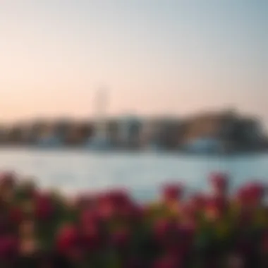 Luxurious villas lined along the coastline of Palm Jumeirah