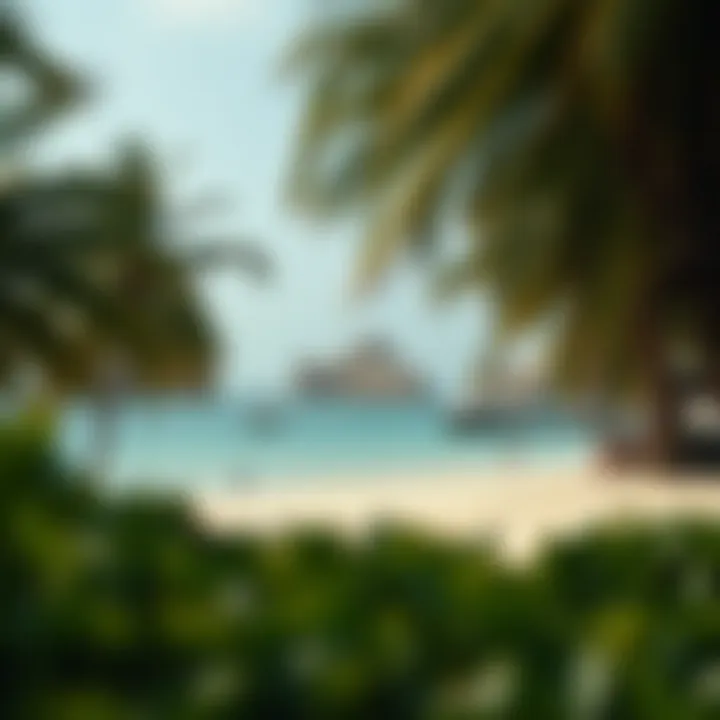 Secluded beach surrounded by palm trees