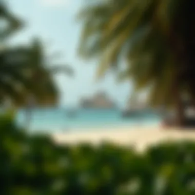 Hidden Oasis Amidst Urban Life Secluded beach surrounded by palm trees