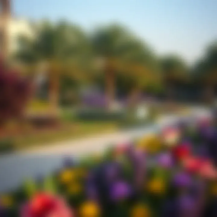 Lush landscaping and community areas within Royal Park Dubai