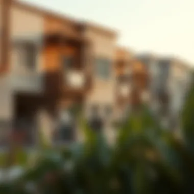 Vibrant Community around Shamsa Townhouse Community features surrounding Shamsa Townhouse