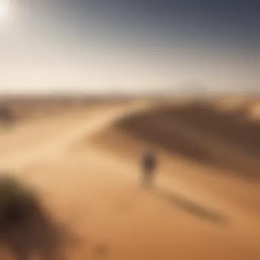 Exploring Dubai's Vast Dune Landscapes Tourists exploring the vast dune landscapes of Dubai