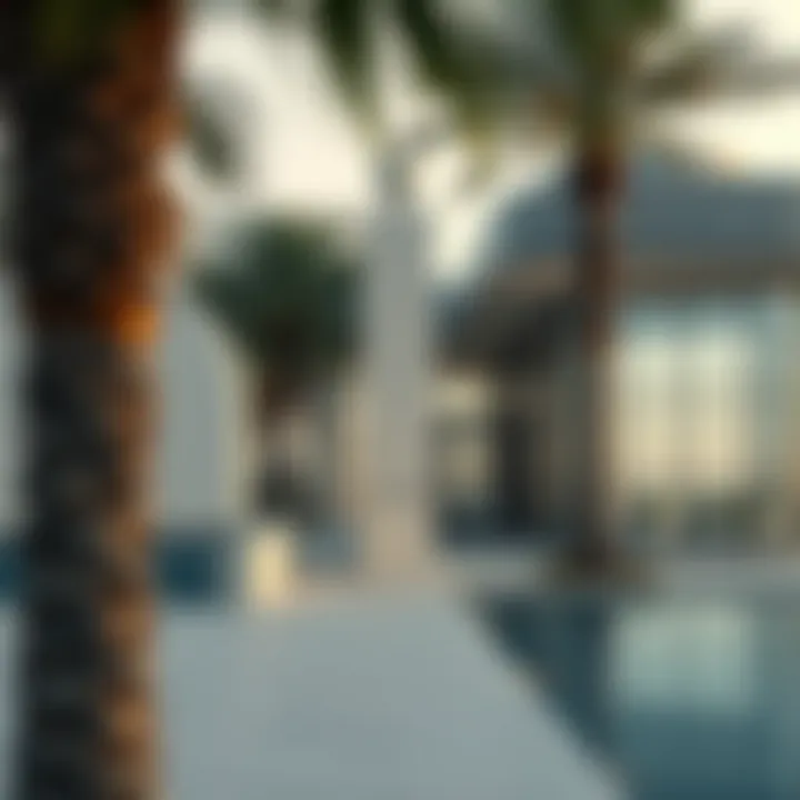 The Palm Houses: An Examination of Architectural Marvels in Dubai Summary
