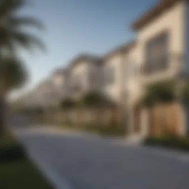 Amenities in a Townhome Community Community amenities of a townhome complex