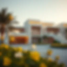 Stunning view of Ranim Mudon's contemporary architecture