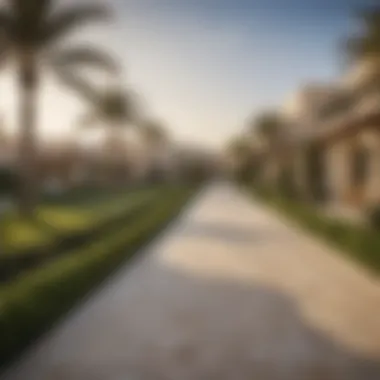 Beautiful Outdoor Areas of Single Row Villas Vibrant outdoor space of a single row villa with landscaped gardens