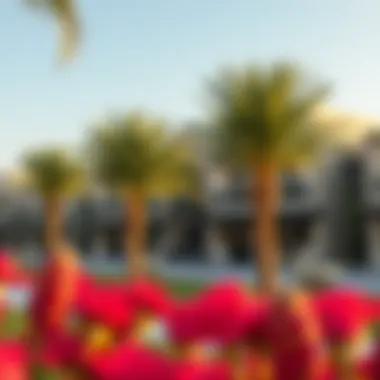 Community amenities of a townhouse development in Dubai