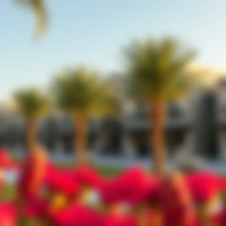 Community amenities of a townhouse development in Dubai