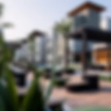 Community Amenities for Modern Living Beautiful community amenities at Verdana