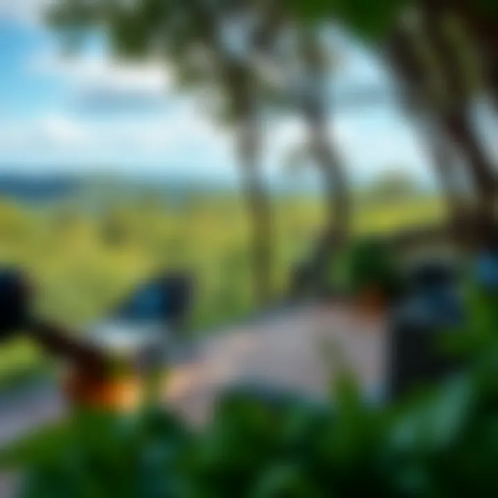 Breathtaking Greenery View from Woodland Residence Scenic view from a woodland property overlooking greenery